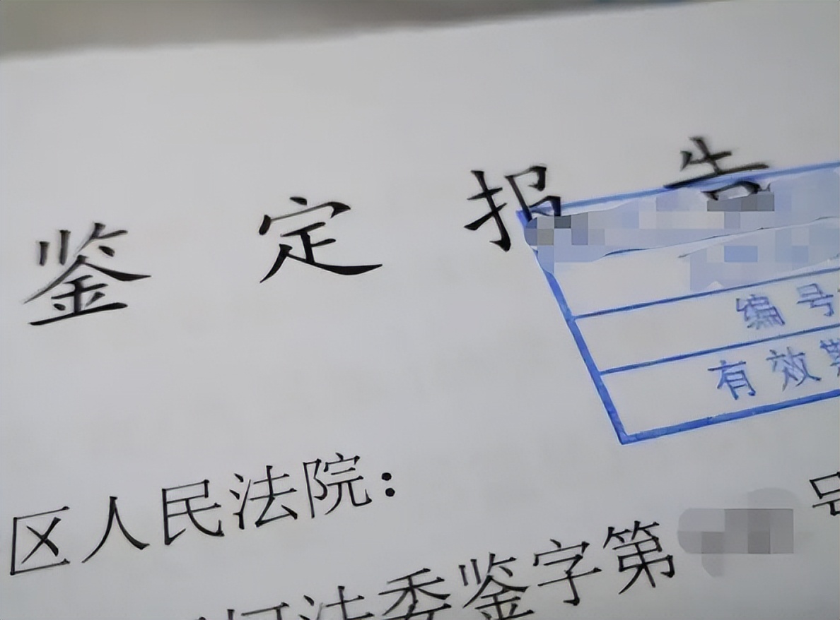 葵花药业创始人,葵花药业发家史