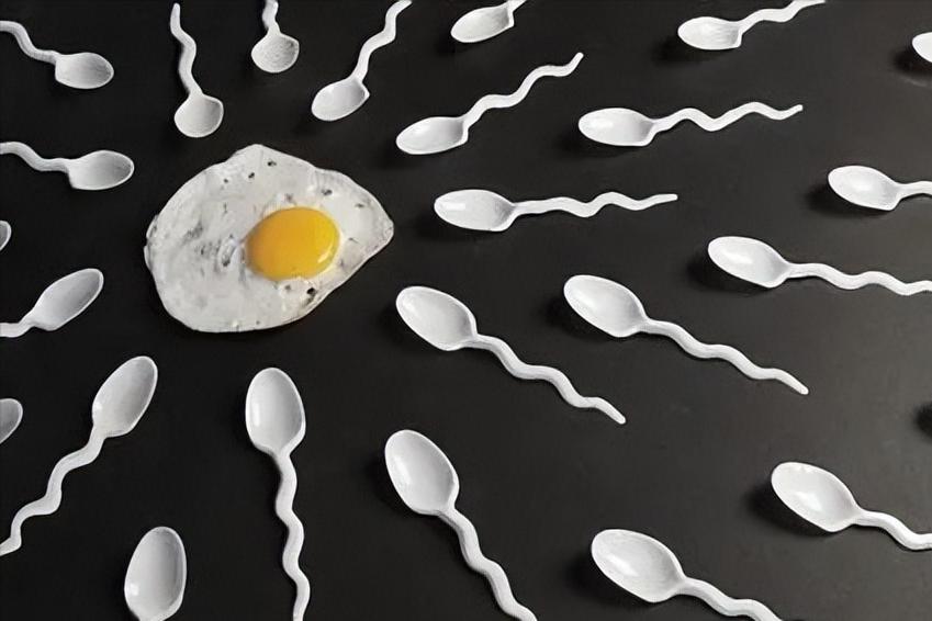 博士11天捐精5次猝死，家属要求400万赔偿，责任谁来承担？