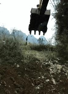 老鼠贴粘到鸟违法吗,老鼠贴能粘住死人吗