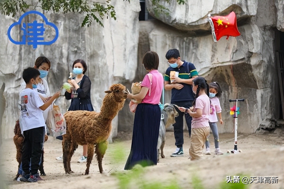 鲜花朵朵祝福祖国天津这些公园逛起来简直太美啦