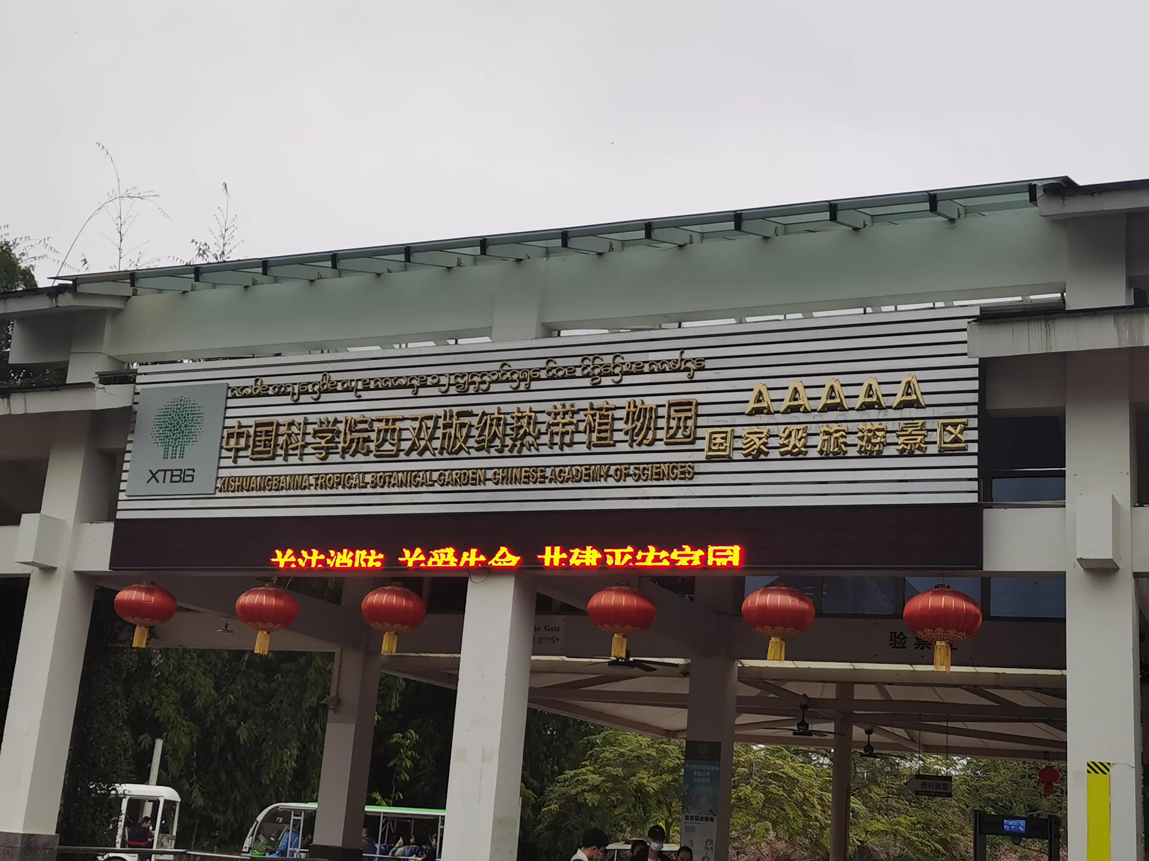 云南西双版纳有哪些景点值得去玩,西双版纳最值得一去的景点大排名