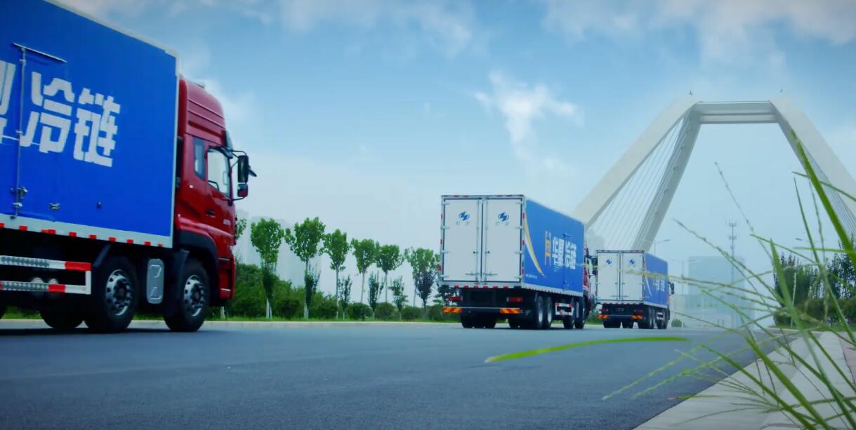 河南恩远冷链物流公司排名,我国冷链物流发展现状与前景