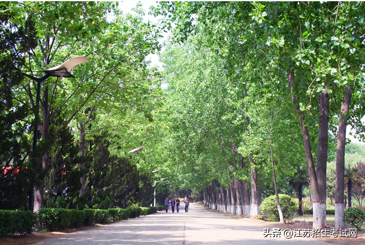 亲爱的高考生愿你金榜题名,祝优秀的学子金榜题名前程似锦