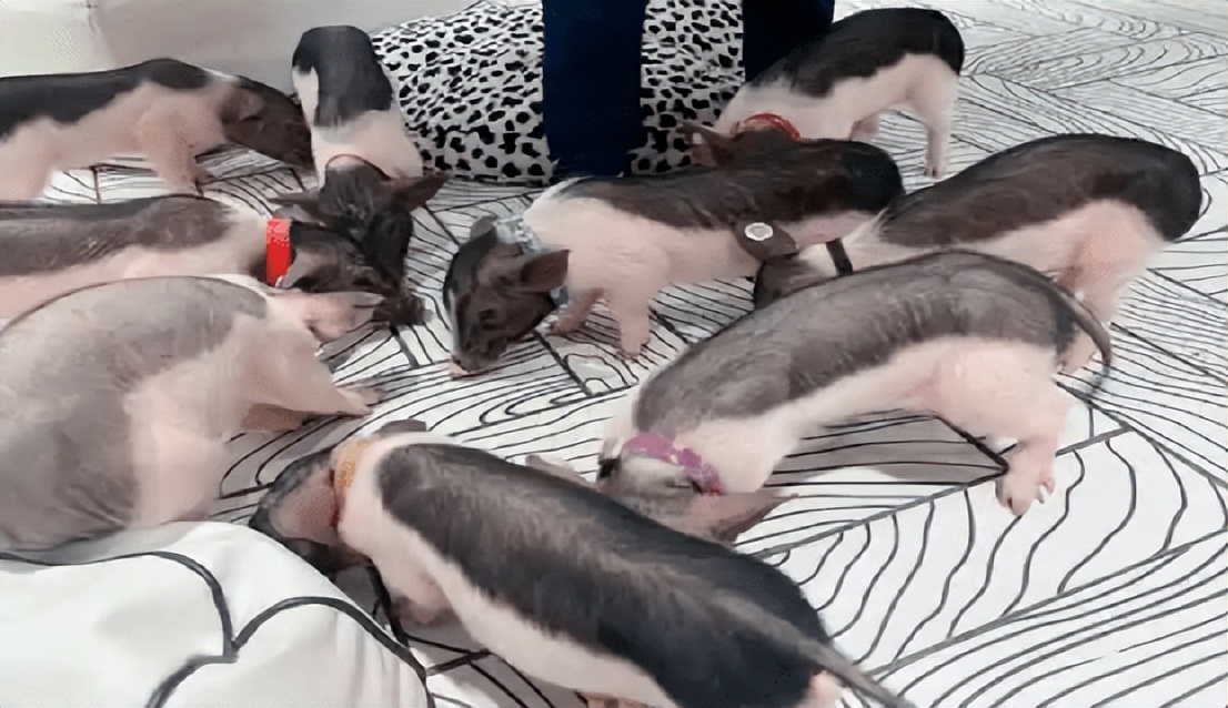 商业地产的消费趋势,商业地产客户自身发展需求