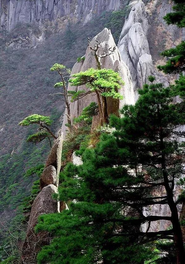 给想去黄山旅游者的一点参考,去黄山给点建议