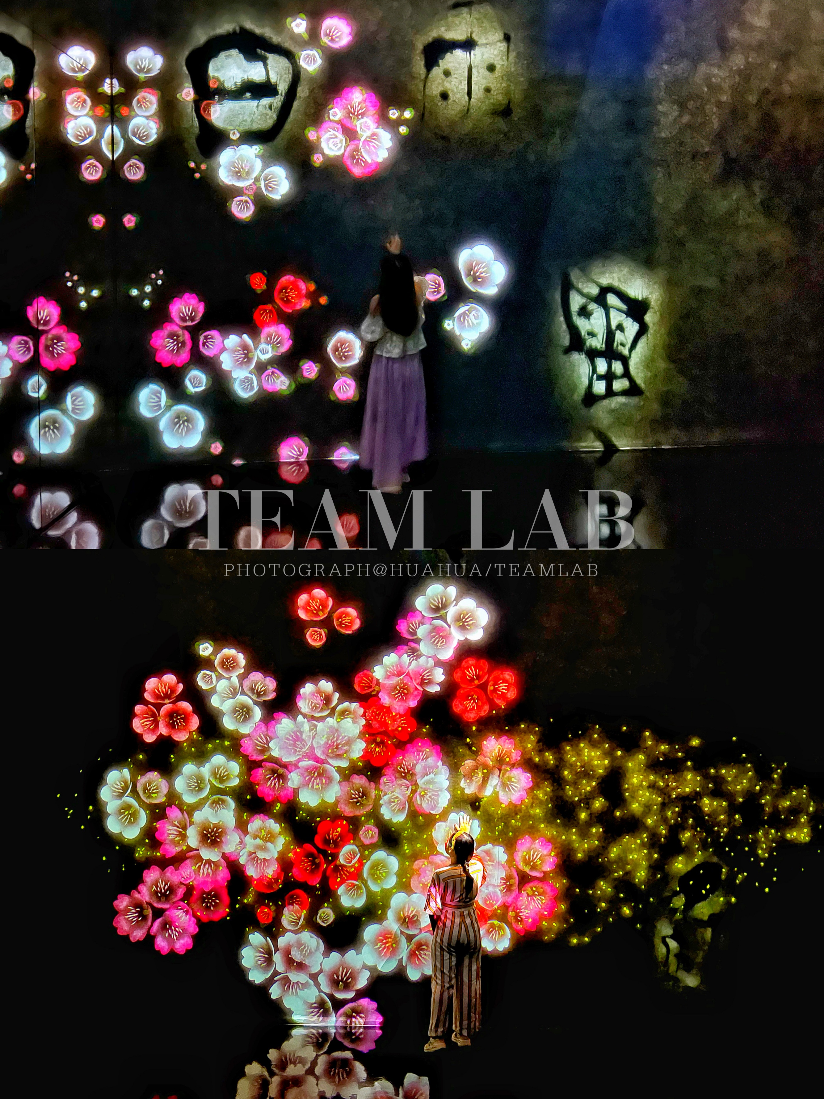 澳门旅游攻略自由行五一,澳门旅游攻略自由行一天夏天