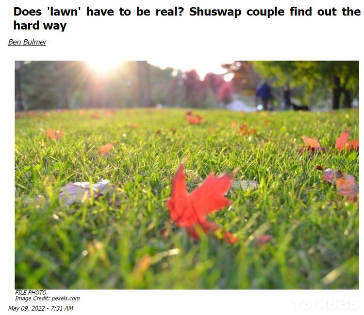 加拿大匪夷所思的规定,加拿大奇葩规定