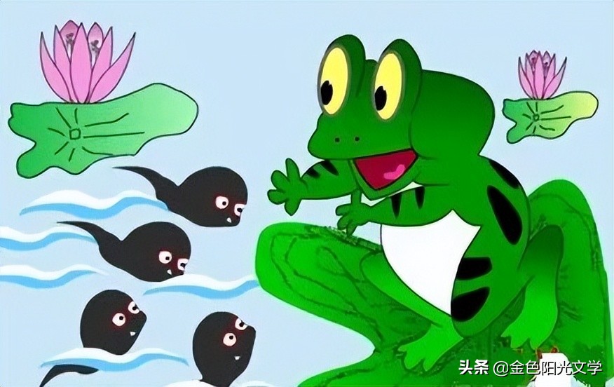 可爱的小蝌蚪找妈妈,可爱的蝌蚪图片