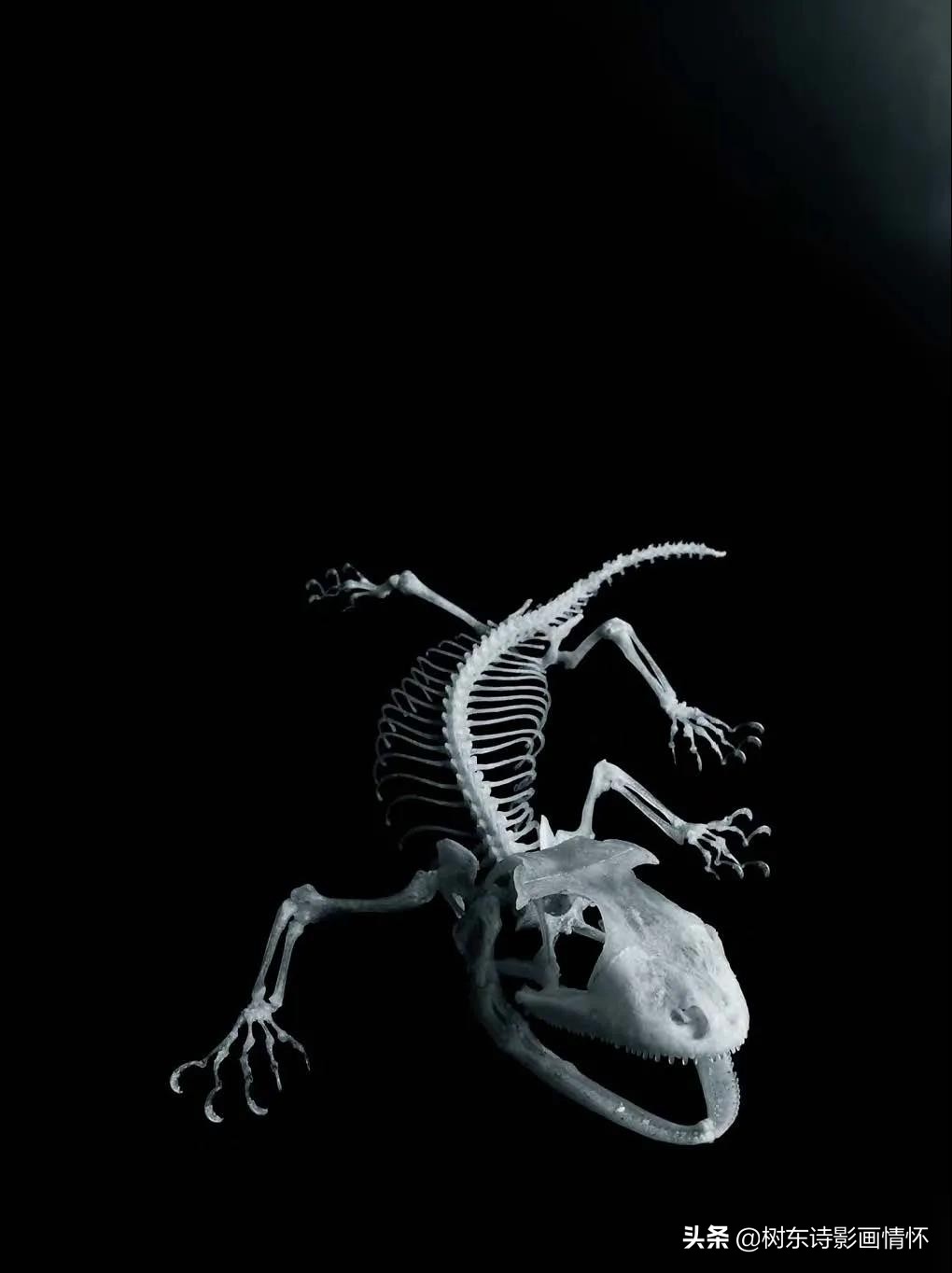 摄影美到极致令人一见倾心,旧景摄影别样美