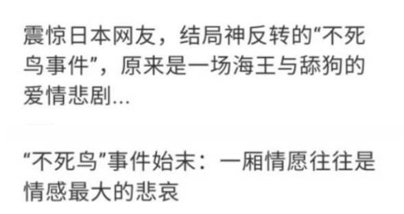 日本原创牛郎在网络上疯传,我却看到了两性之间最残酷的真相