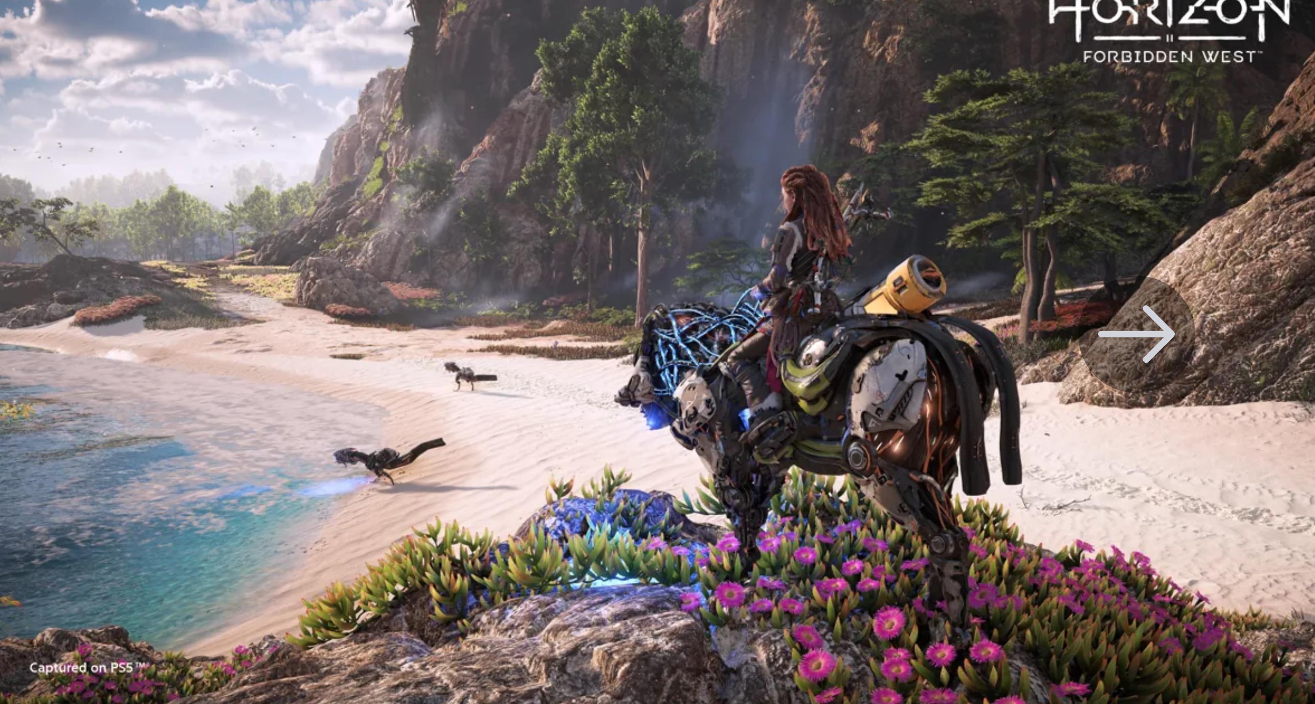 健身环玩艾尔登法环,艾尔登法环魔法老师任务全流程