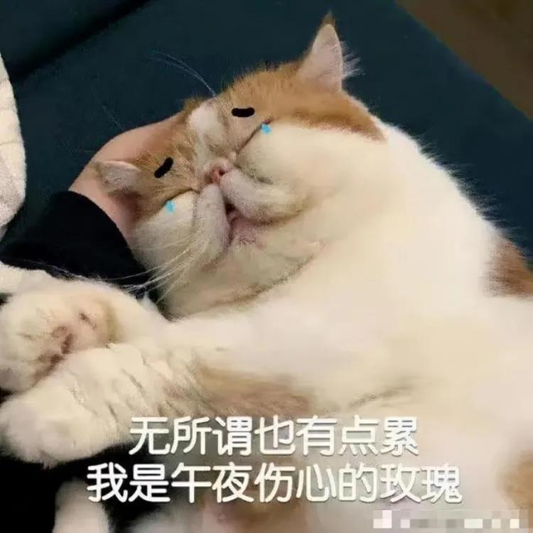 情侣搞笑奇葩礼物送什么,奇葩夫妻生日礼物送什么