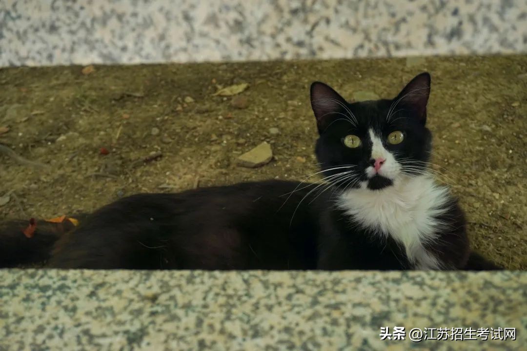 苏州农业职业技术学院全览,苏州农业职业技术学院综合信息网