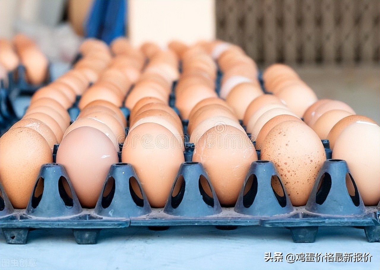 2023年鸡蛋价格每日最新行情,鸡蛋行情2020年8月27日鸡蛋价格