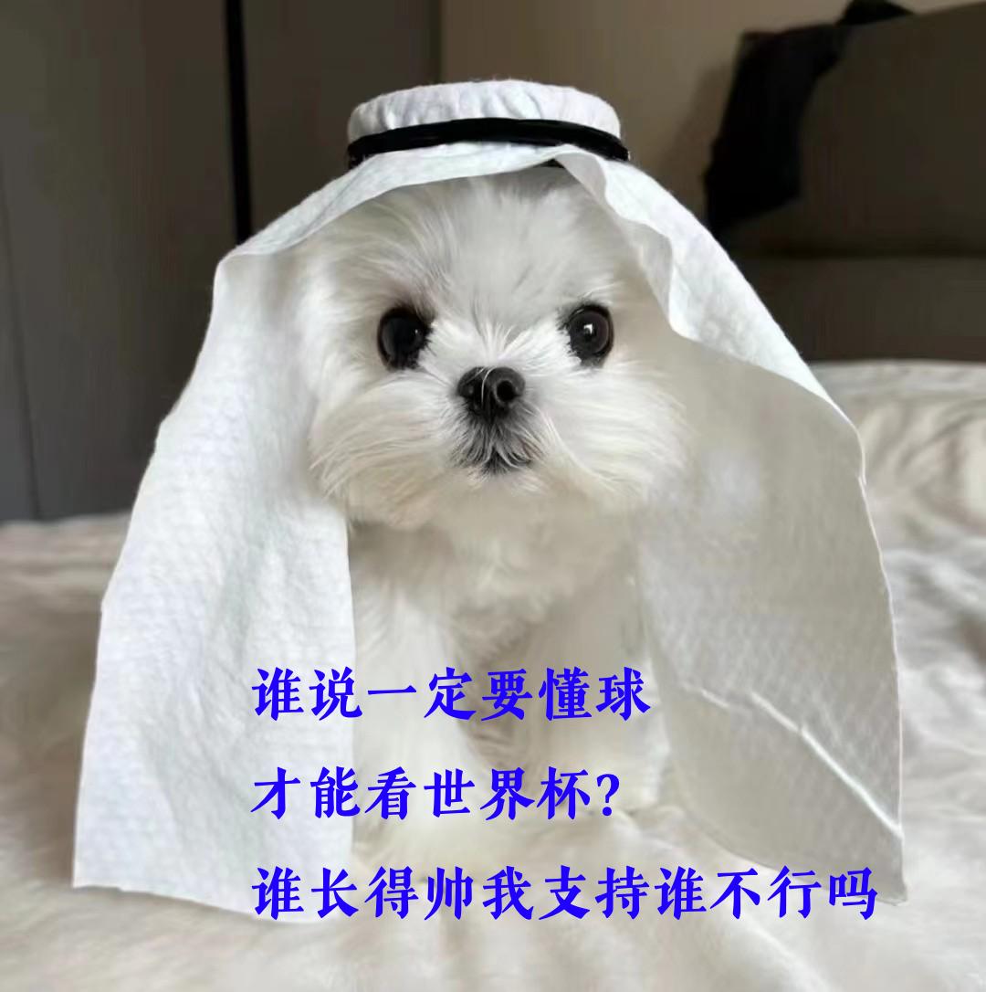 世界杯的重要性和影响力,世界杯不光赢重要进球数也重要