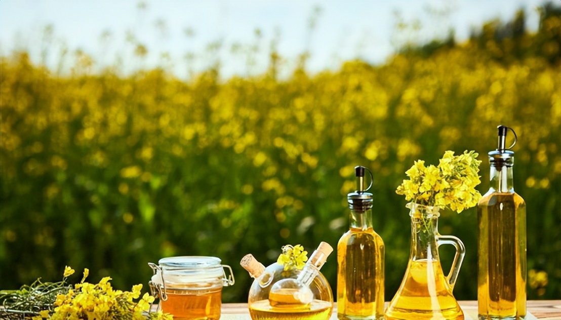 菜籽油与橄榄油成分区别,纯天然菜籽油的危害