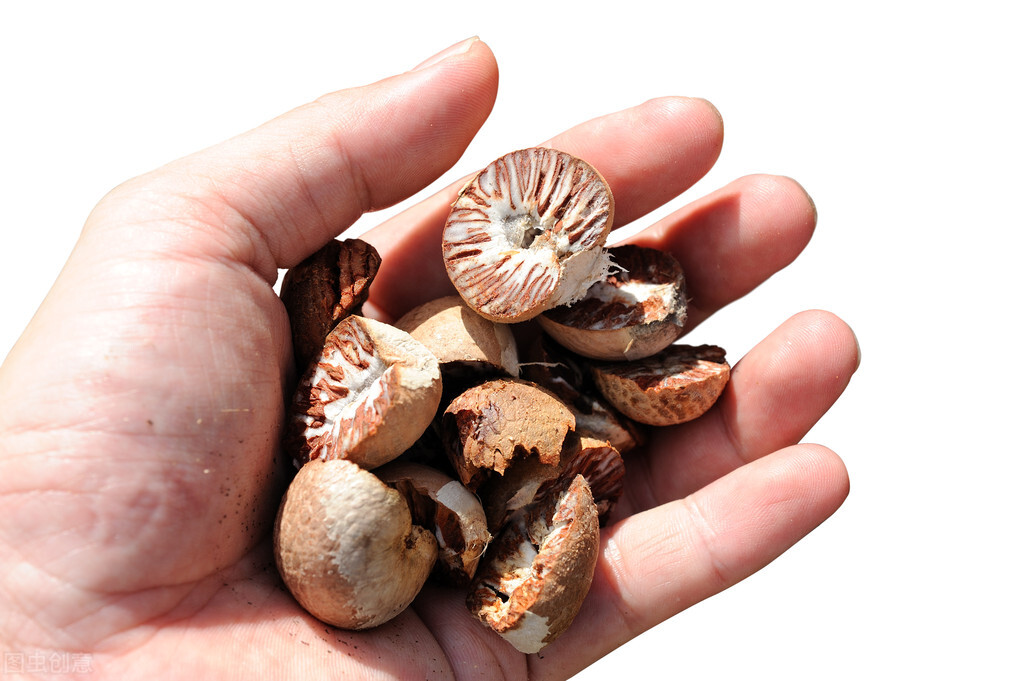 槟榔的危害科学分析,槟榔的危害有多大资料