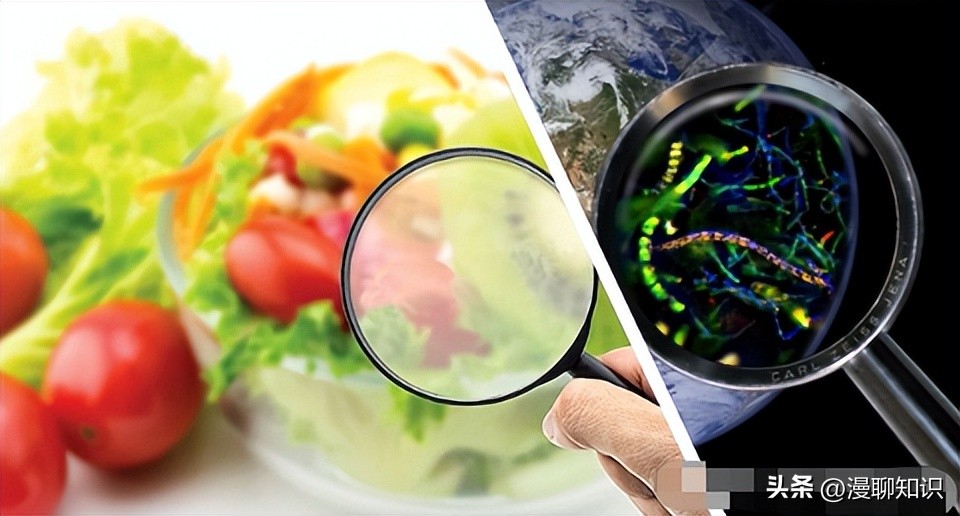 生物膜有害吗,生物膜有什么用