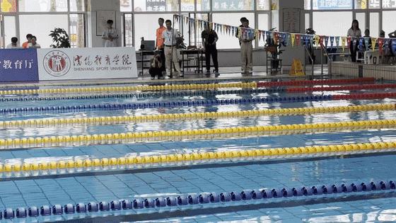 再创新突破！沈阳城市学院在辽宁省大学生游泳比赛中获多项佳绩