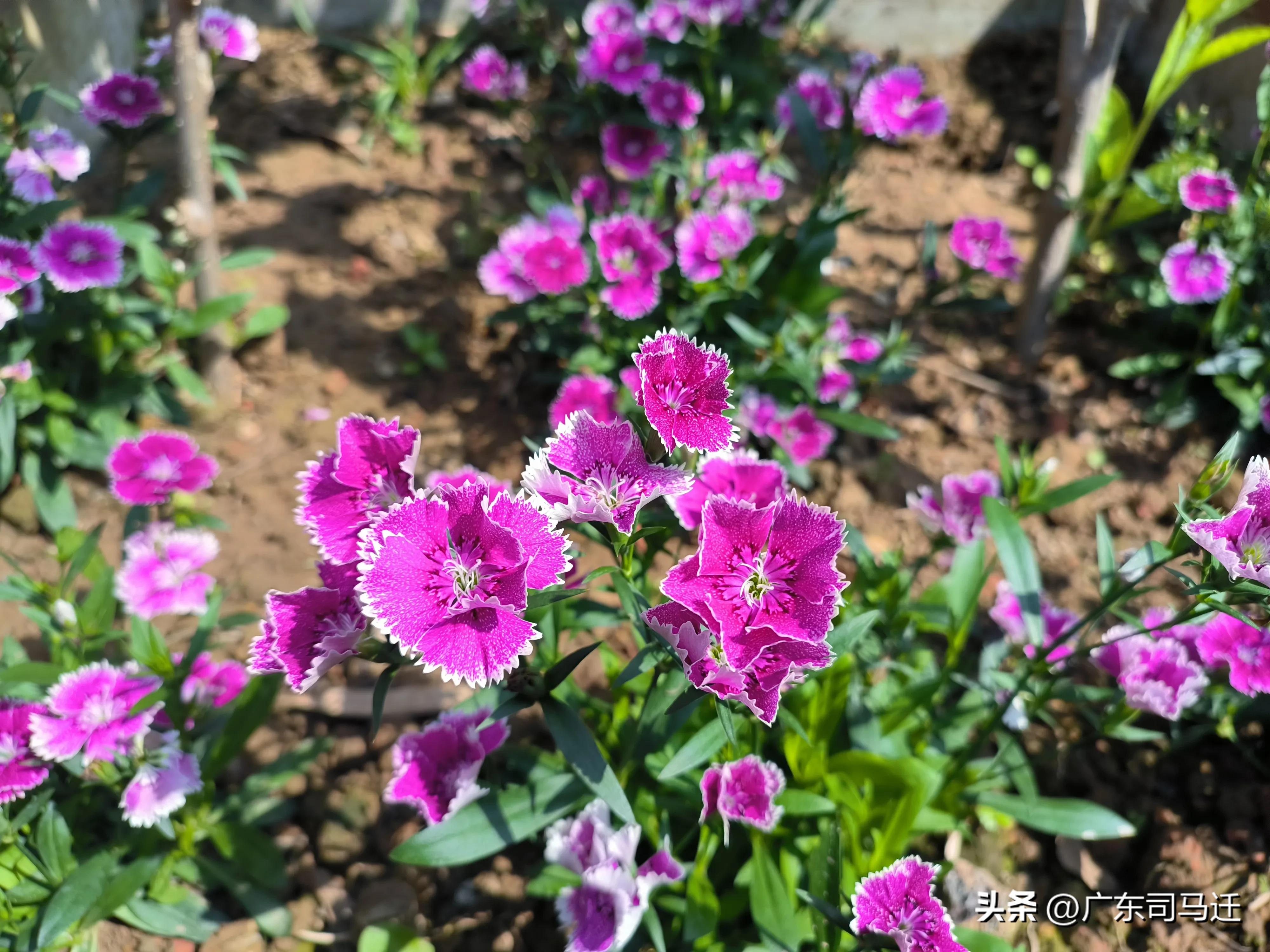 好玩的中山公园,中山公园这儿真美