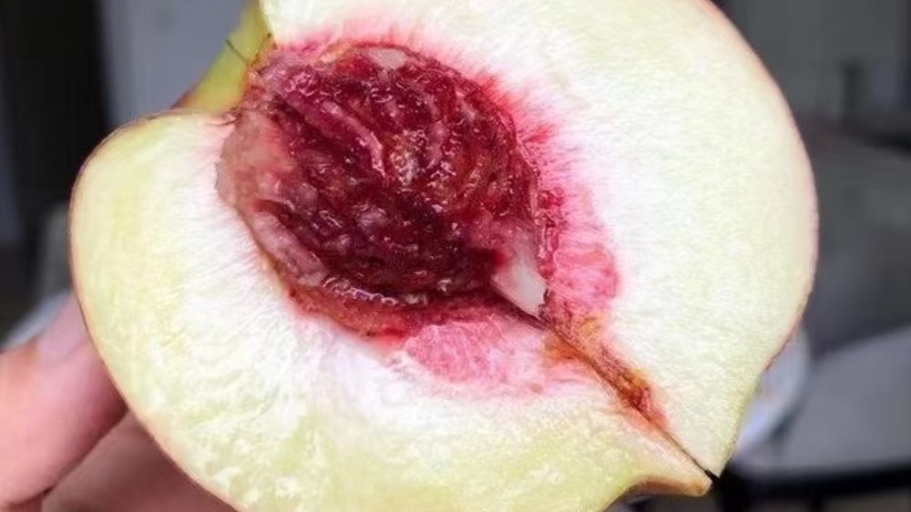 水果店吸引客人的营销文案,水果店引流文案朋友圈