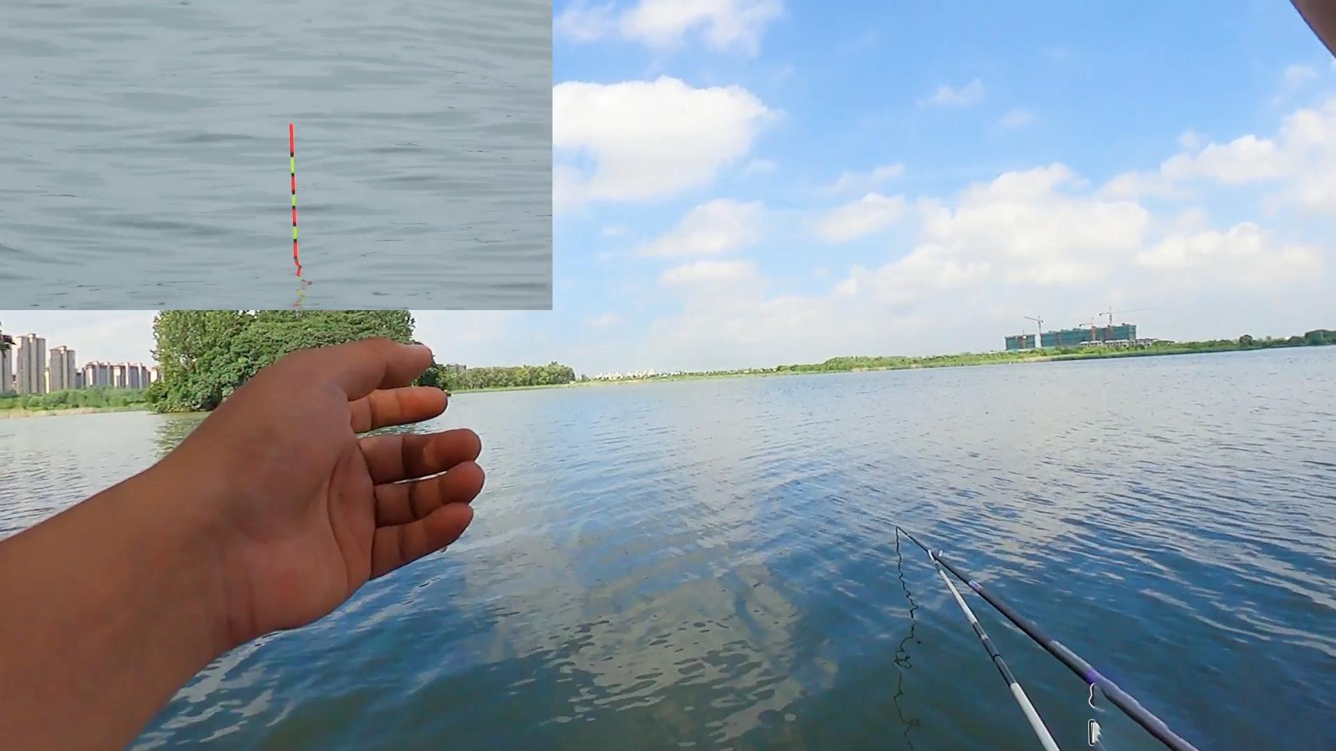 鲫鱼为什么要钓钝点,冬季为啥鲫鱼越钓越小