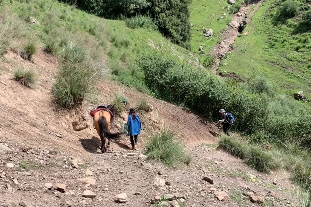 从伊犁出发的南北疆旅游攻略,火爆的新疆游