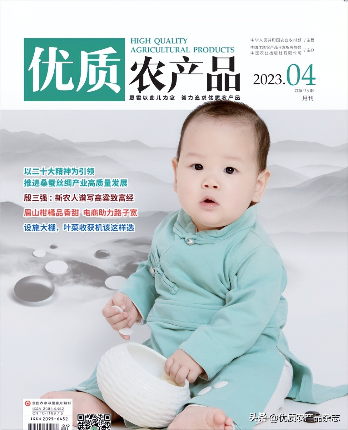 眉山春橘为什么行？