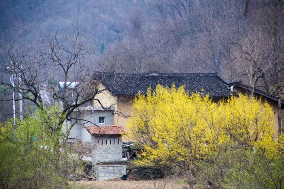 疫情让秦岭山村变得更加寂静，寻访秦岭坪沟，尽量不主动接触村民
