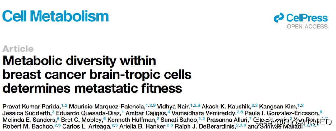 代谢多样性是决定乳腺癌脑转移适应性的分子基础