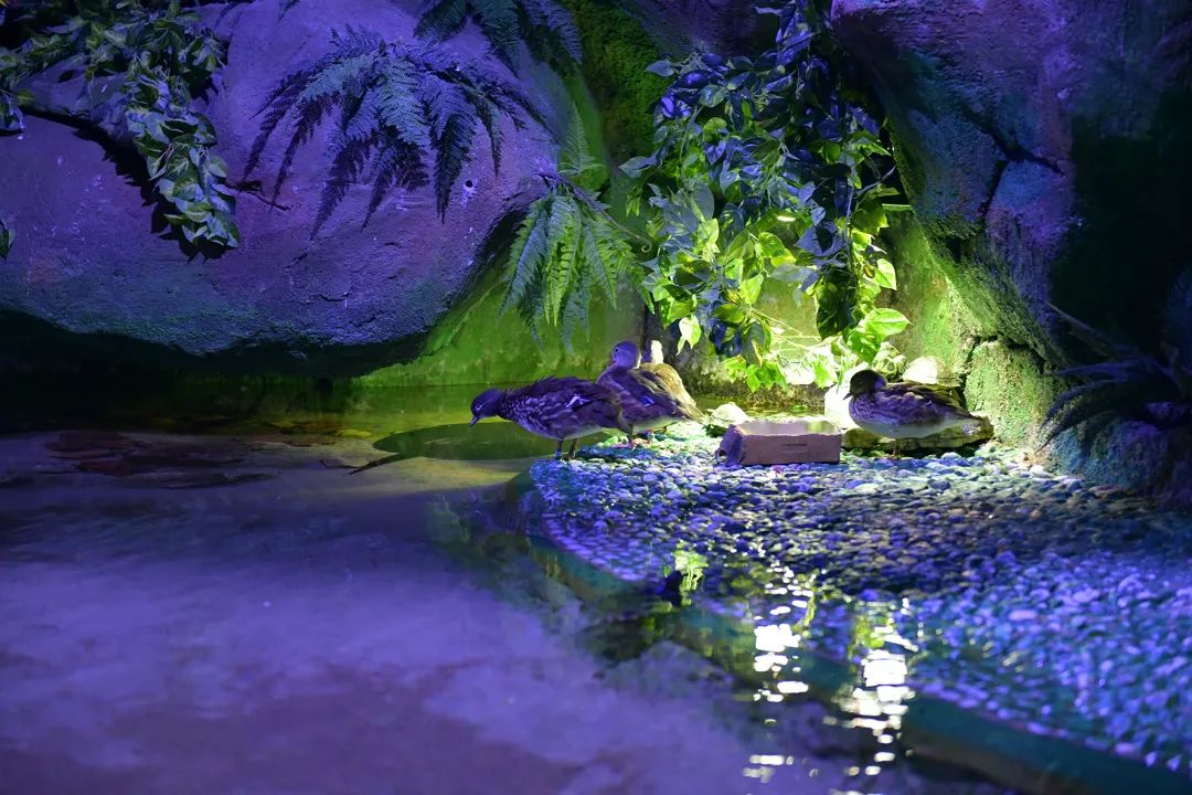 V世界｜夏天，在阿布扎比的11个“极致”体验