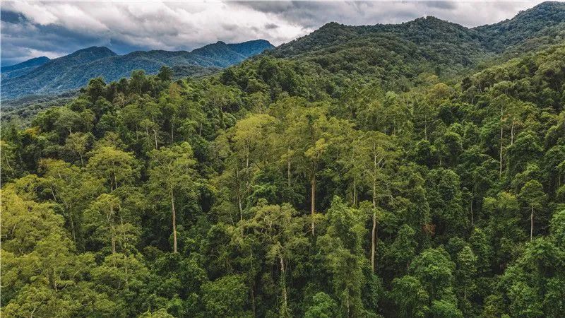 乐享云南,乐享云南美景怒江皇冠山