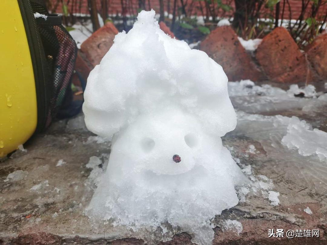 堆雪人创意大赛活动方案,堆雪人大赛活动