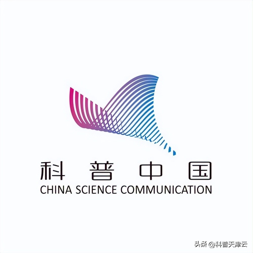 泰国香米为什么放添加剂,泰国香米猫腻