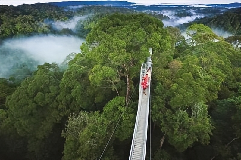 文莱的冷知识大全,文莱这个国家的简介及风俗