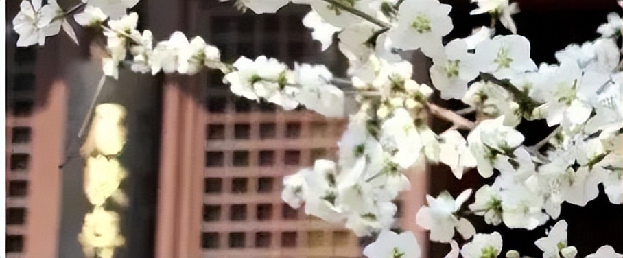 五一北京出游踏青去哪玩比较好呢,丰台夏天旅游攻略