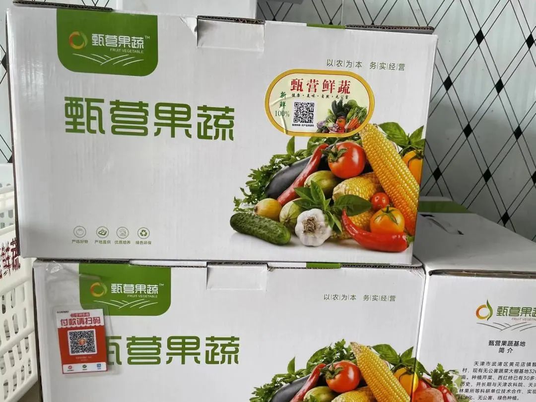 引进蔬菜新品种种出富民大产业,特色蔬菜种植铺就致富路