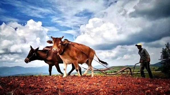 春耕备耕正当时七绝诗歌,春耕时节诗词鉴赏