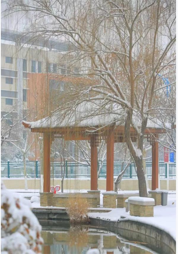 娌冲崡缁忚锤鑱屼笟瀛﹂櫌2023鎷涙敹浜烘暟,娌冲崡缁忚锤鑱屼笟瀛﹂櫌鍗曟嫑2023棰勬祴