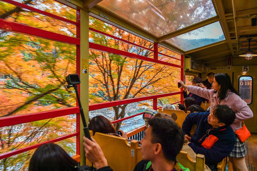 日本观光列车时刻表,没时间解释了快上车视频