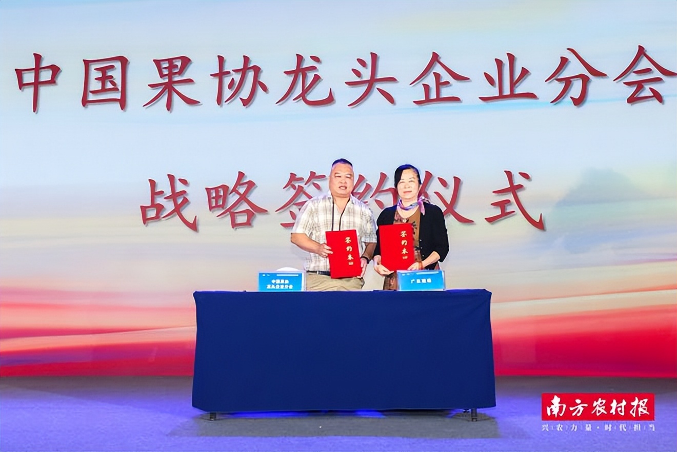 依托中果协，“粤字号”水果销售有了新路子