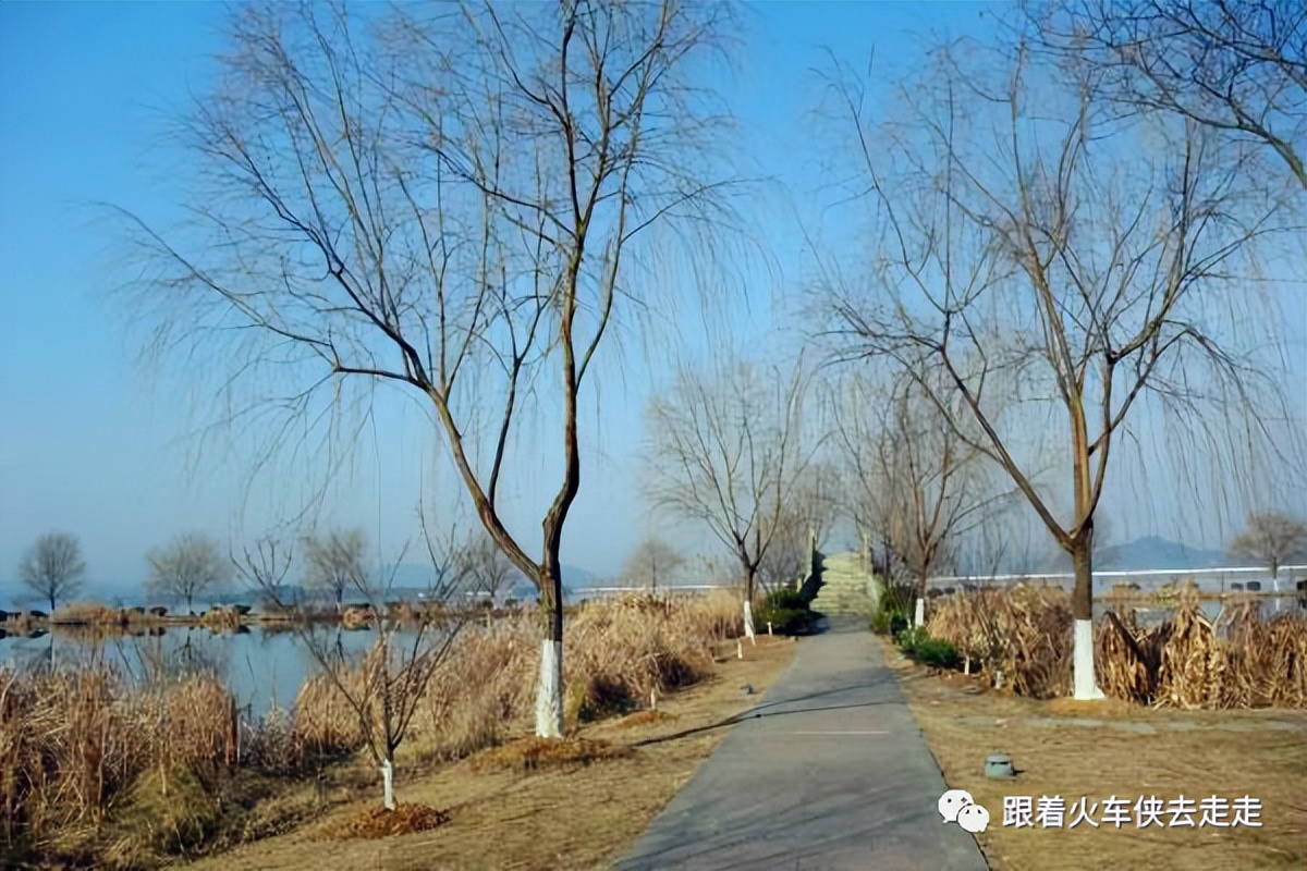 江苏宜兴西渚镇云湖风景区,西渚镇云湖紫薇园