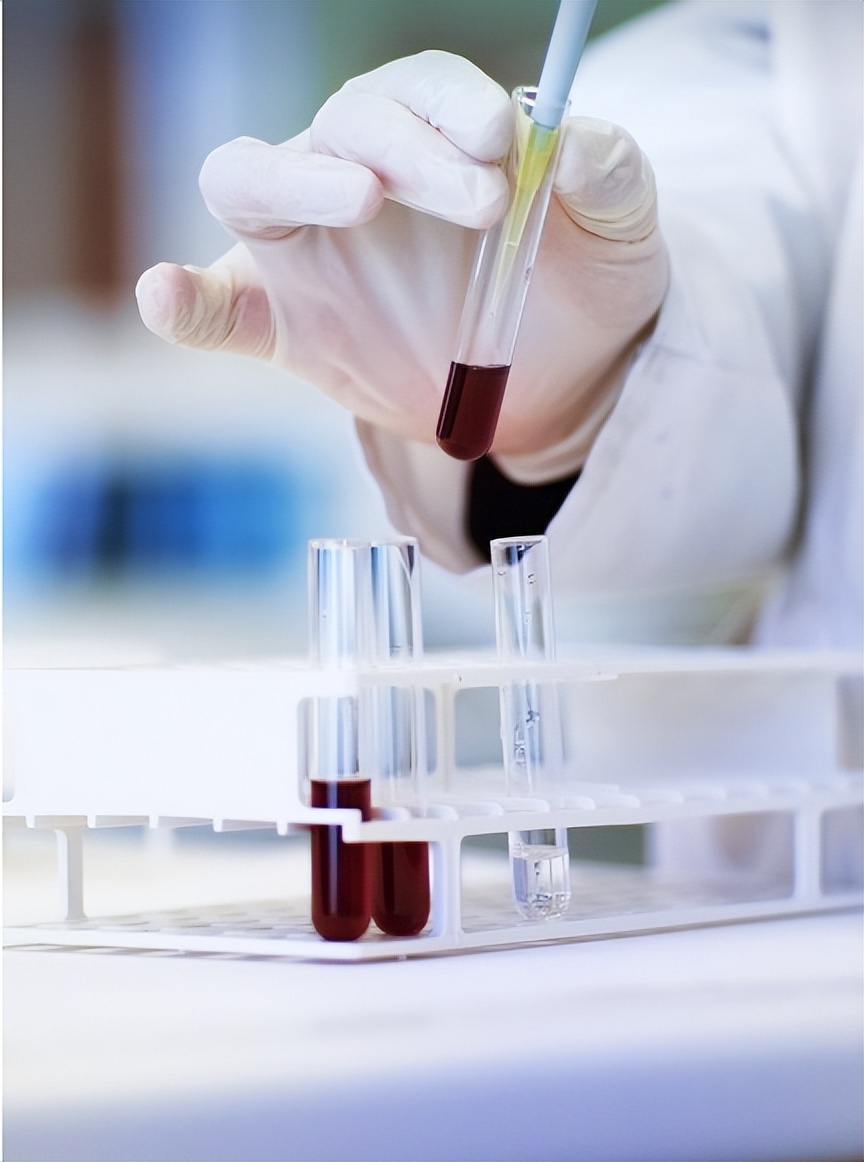 扦插月季添加微生物菌剂有好处吗,加入生根粉和多菌灵的土能种菜吗