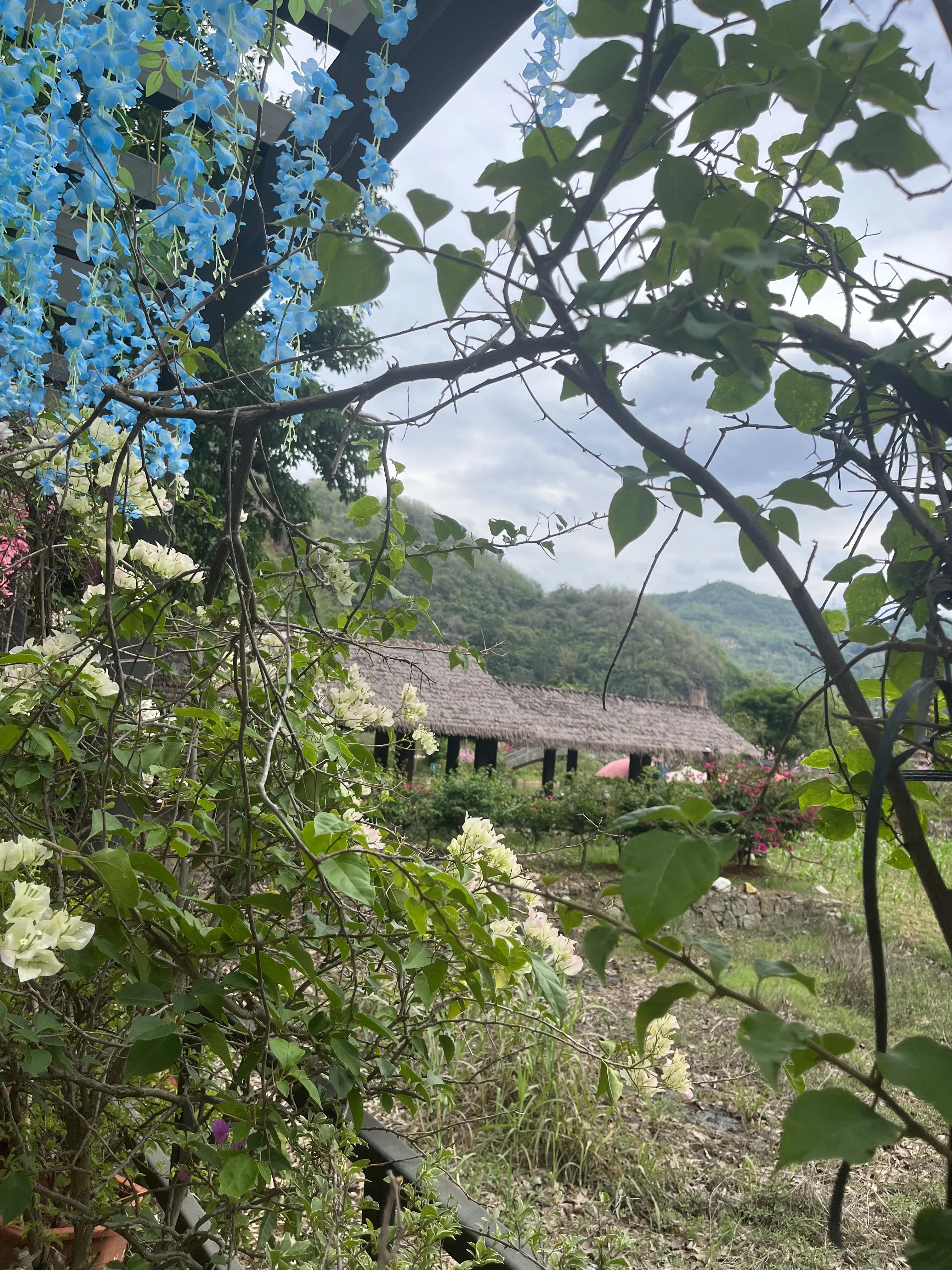 云南十天旅游,云南坝美旅游攻略