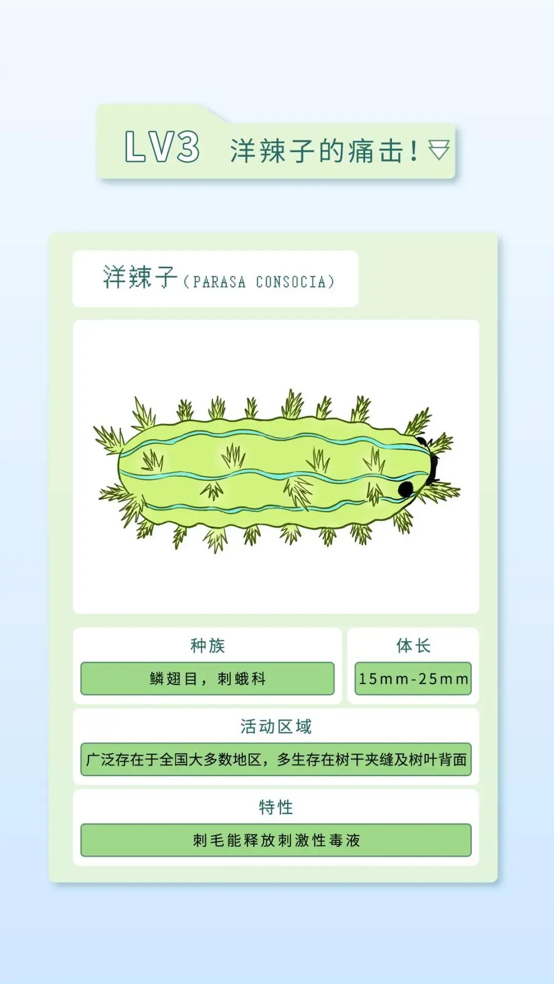 最近看到这些虫子，不要随便拍，建议提前了解（漫画讲解）