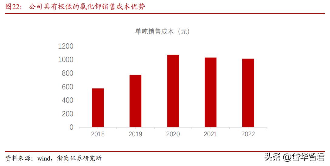 藏格锂业与藏格矿业,藏格矿业深度分析