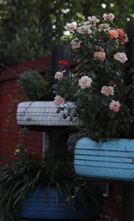 全国生态环境日主题,全国生态日绿水青山就是金山银山