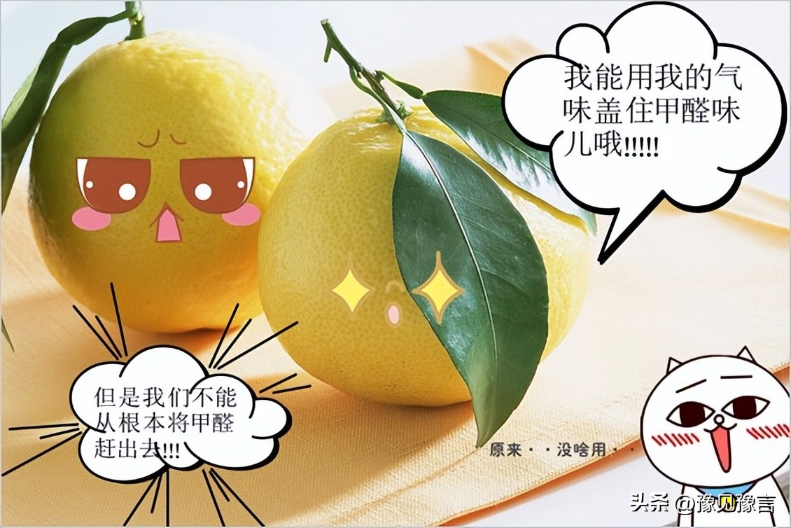 除甲醛方式千万种只有这样最管用,除甲醛的方法你用对了吗