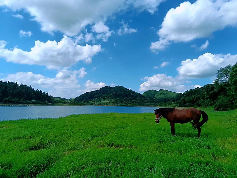 嫁给爱情不一定就高贵,嫁给爱情不是生活的目的