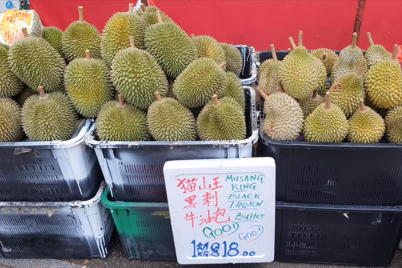 马来西亚黑刺榴莲什么时候上市,马来西亚哪个州产黑刺榴莲